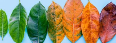 June 2026: Leading during Seasons of Change